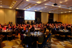 1_44707949745_7cfceda2bf_b