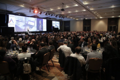 45621196381_3065a2aabf_b