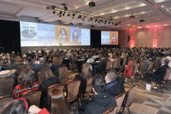 1_48098348818_00b7954c9c_b