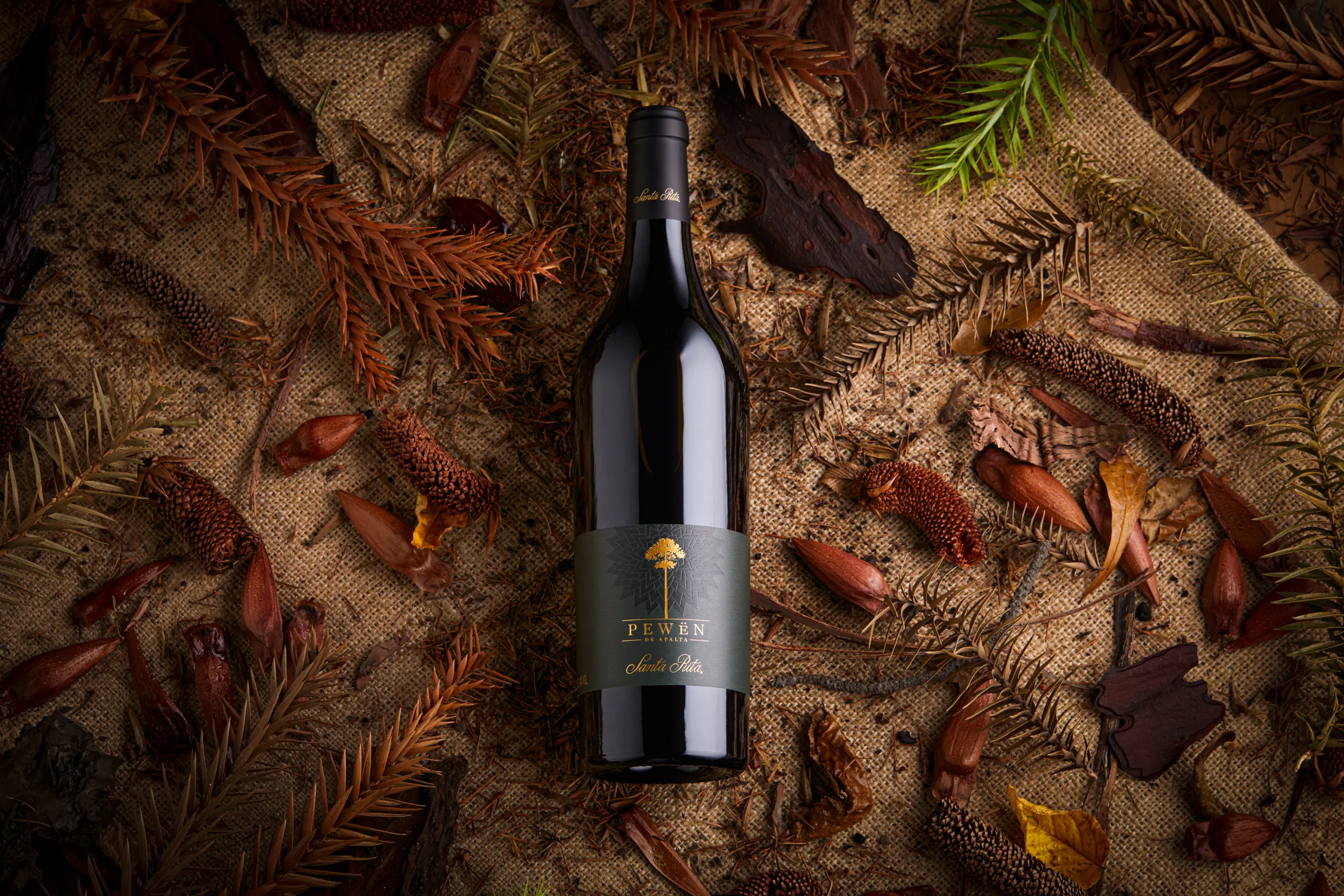 Floresta se consagra por segundo año consecutivo como la mejor línea de vinos de chile por alistair cooper mw by catad’or 2026